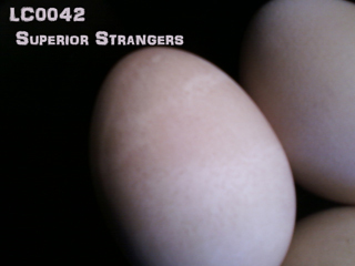 460>_3169599